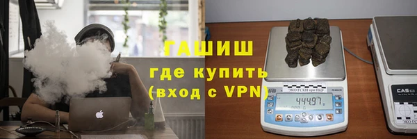 гидра Заводоуковск