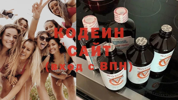 гидра Заводоуковск